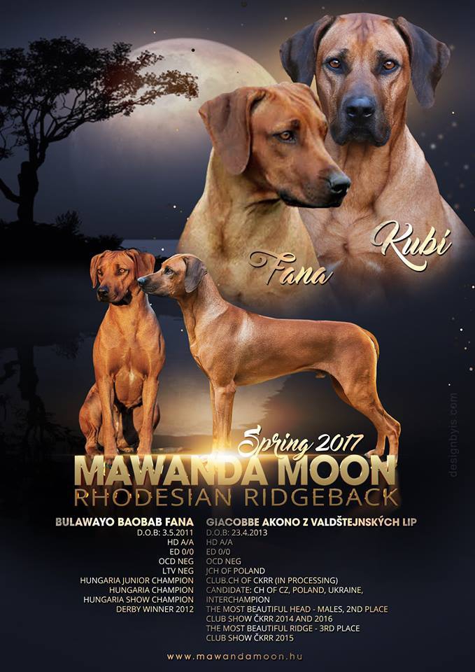 Mawanda Moon "Choice" alom